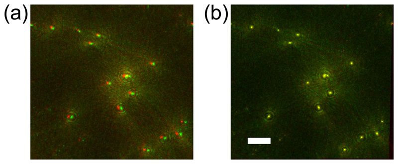 Fig. 3