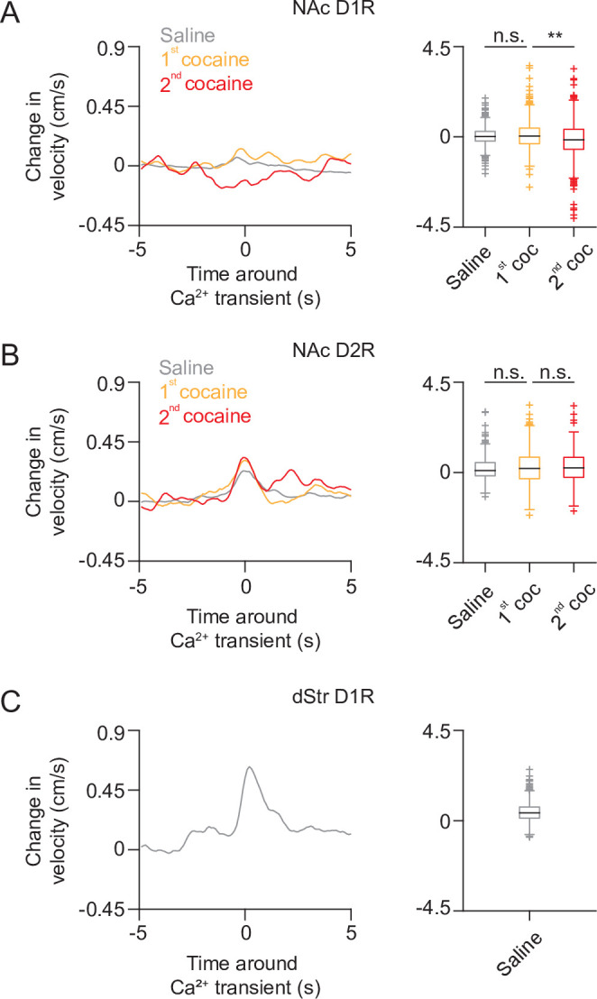 Figure 4—figure supplement 1.