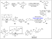 Scheme 26