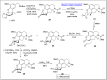 Scheme 3