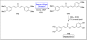 Scheme 23