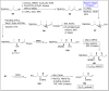 Scheme 12