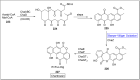 Scheme 32