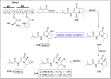 Scheme 29