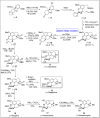 Scheme 2