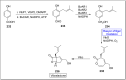 Scheme 34