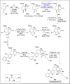Scheme 14