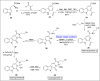 Scheme 5