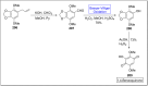 Scheme 28