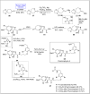 Scheme 8