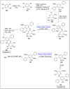 Scheme 25