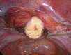 Fig. 4
