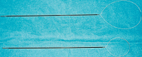 Fig. 1
