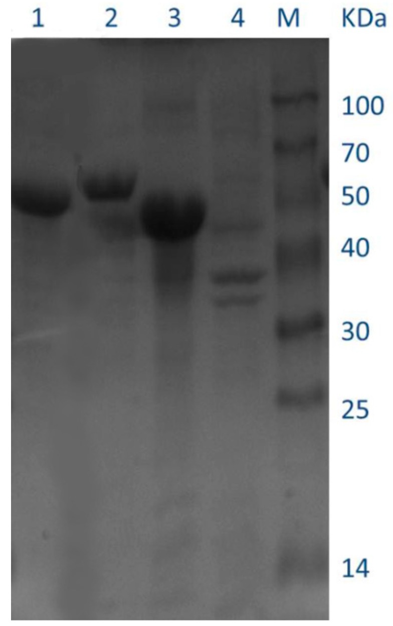 Figure 9