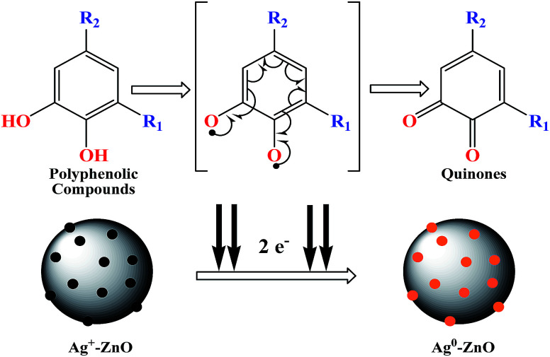 Scheme 2