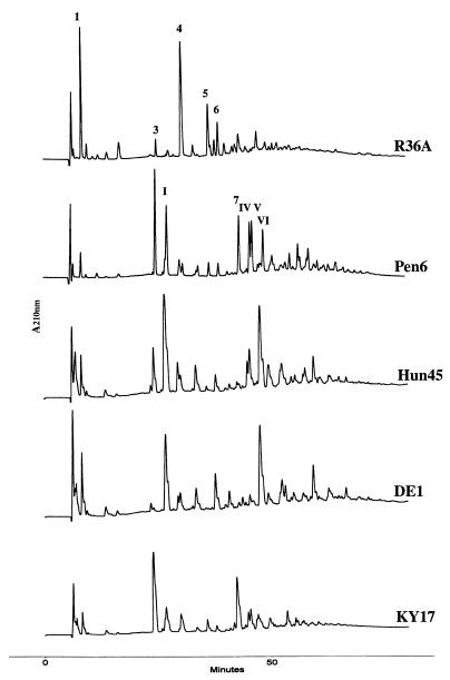 FIG. 5