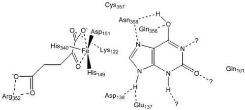 Scheme 3