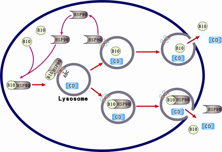 FIGURE 7.