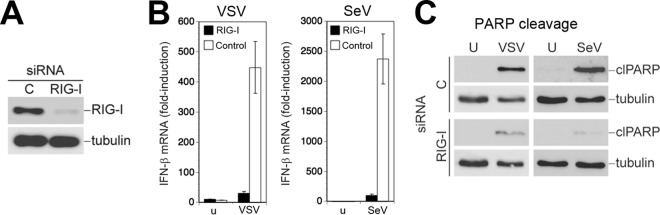 FIG 3