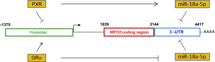 Figure 9