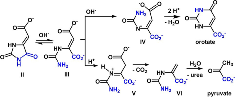 Scheme 3.