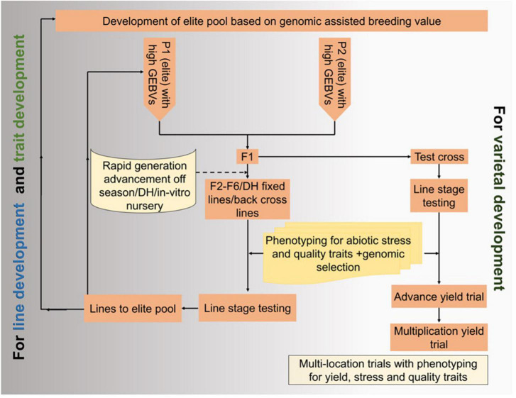 FIGURE 4