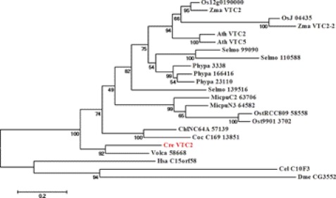 FIGURE 1.