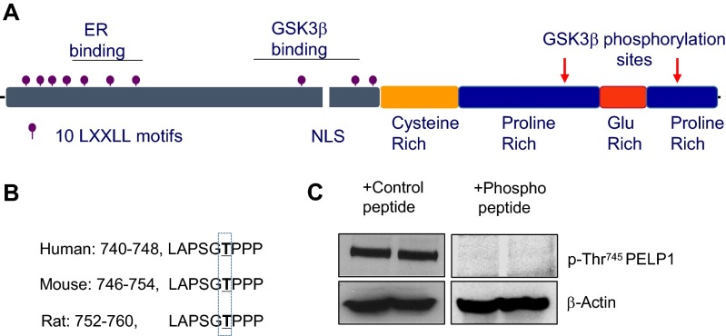 Fig. S6.