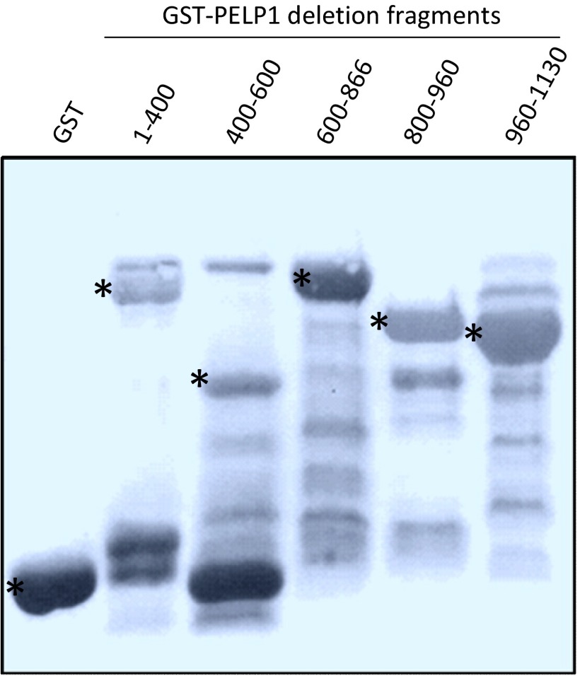 Fig. S5.