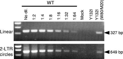 FIG. 5.