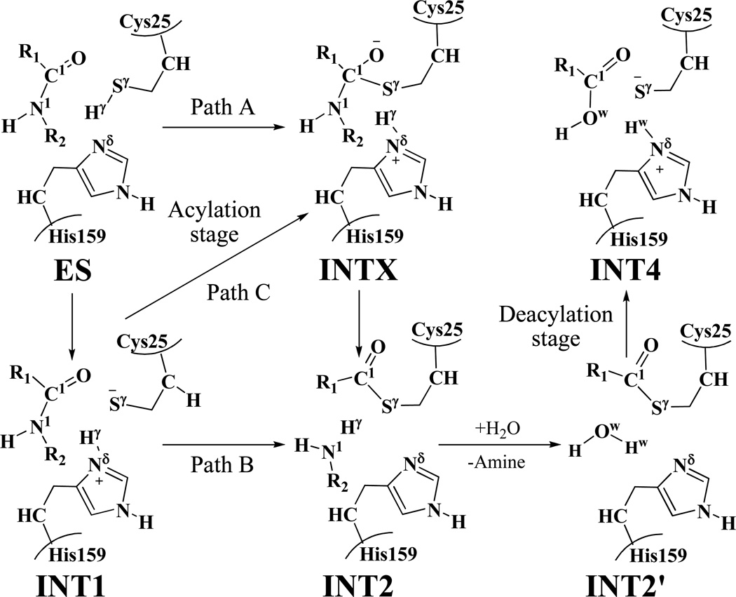 Scheme 1