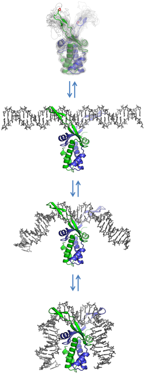 Figure 9.