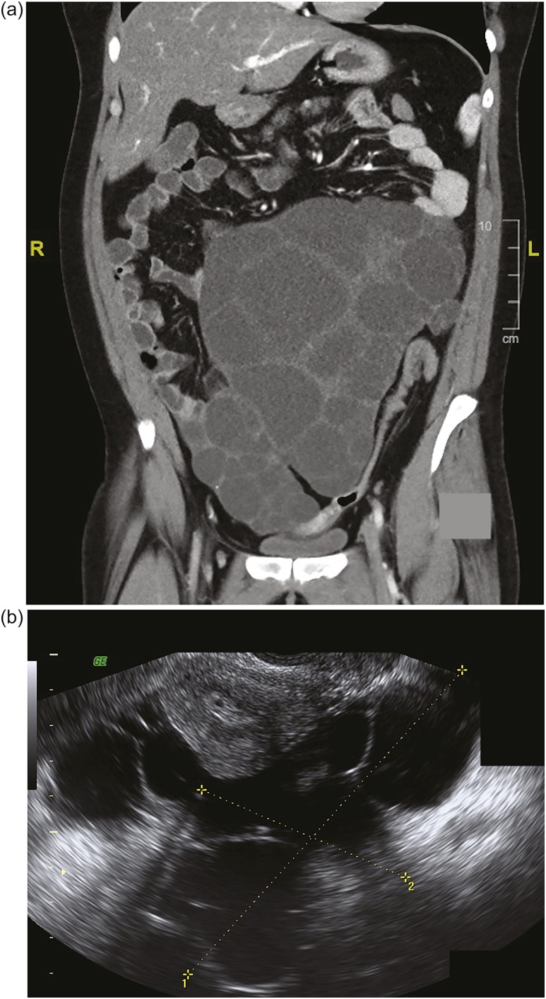 Figure 1.