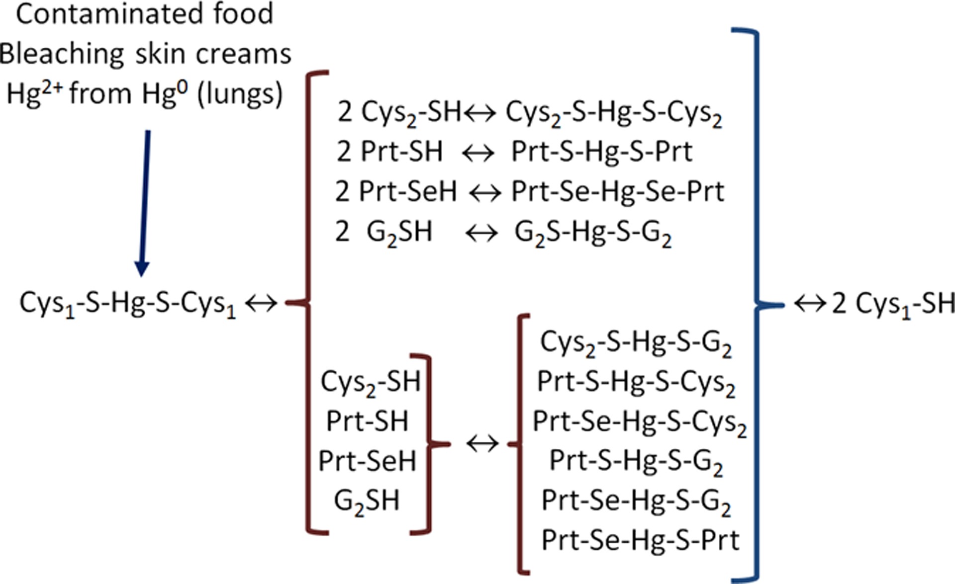 Figure 5–