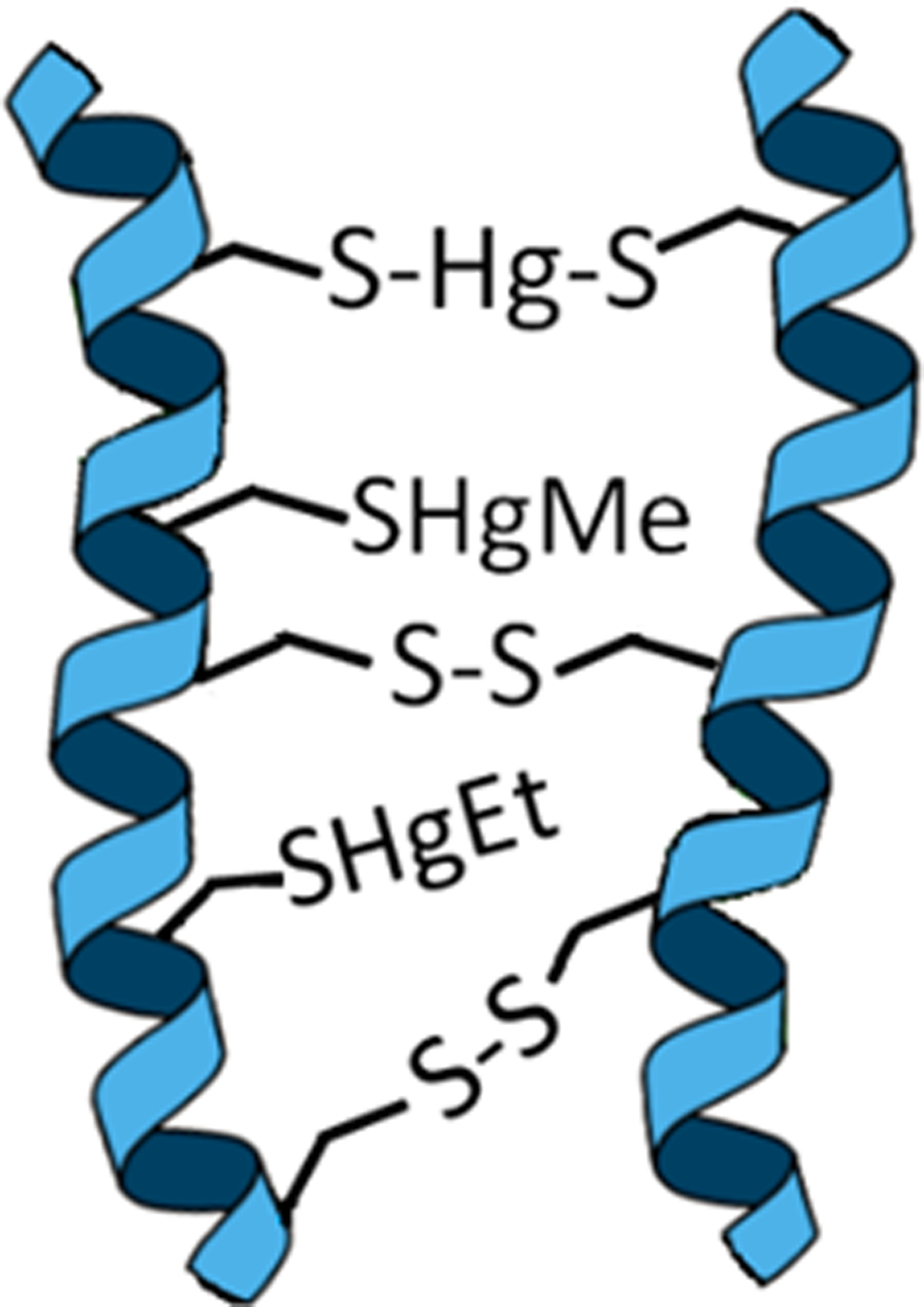 Figure 7 –