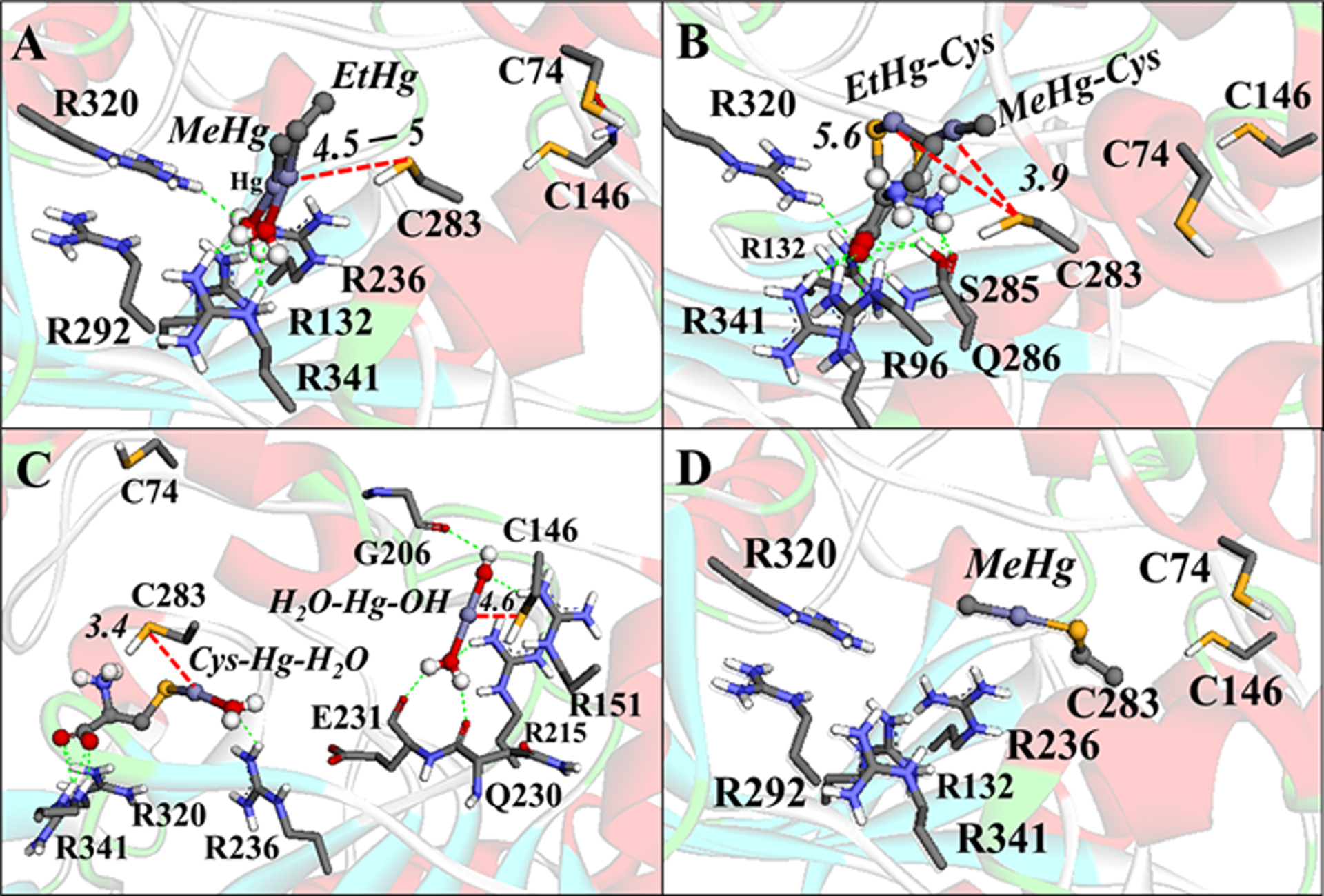 Figure 12.