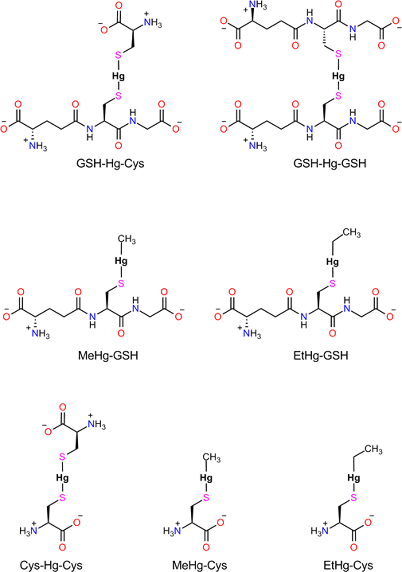 Figure 3 -