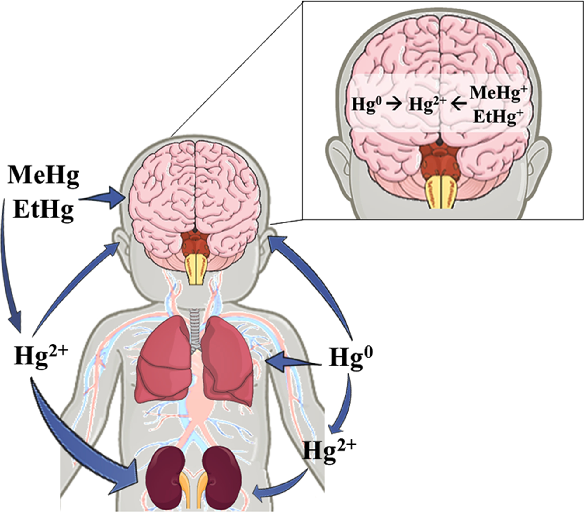 Figure 2: