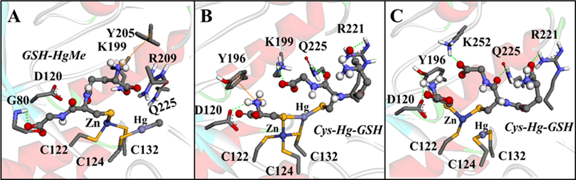 Figure 11.