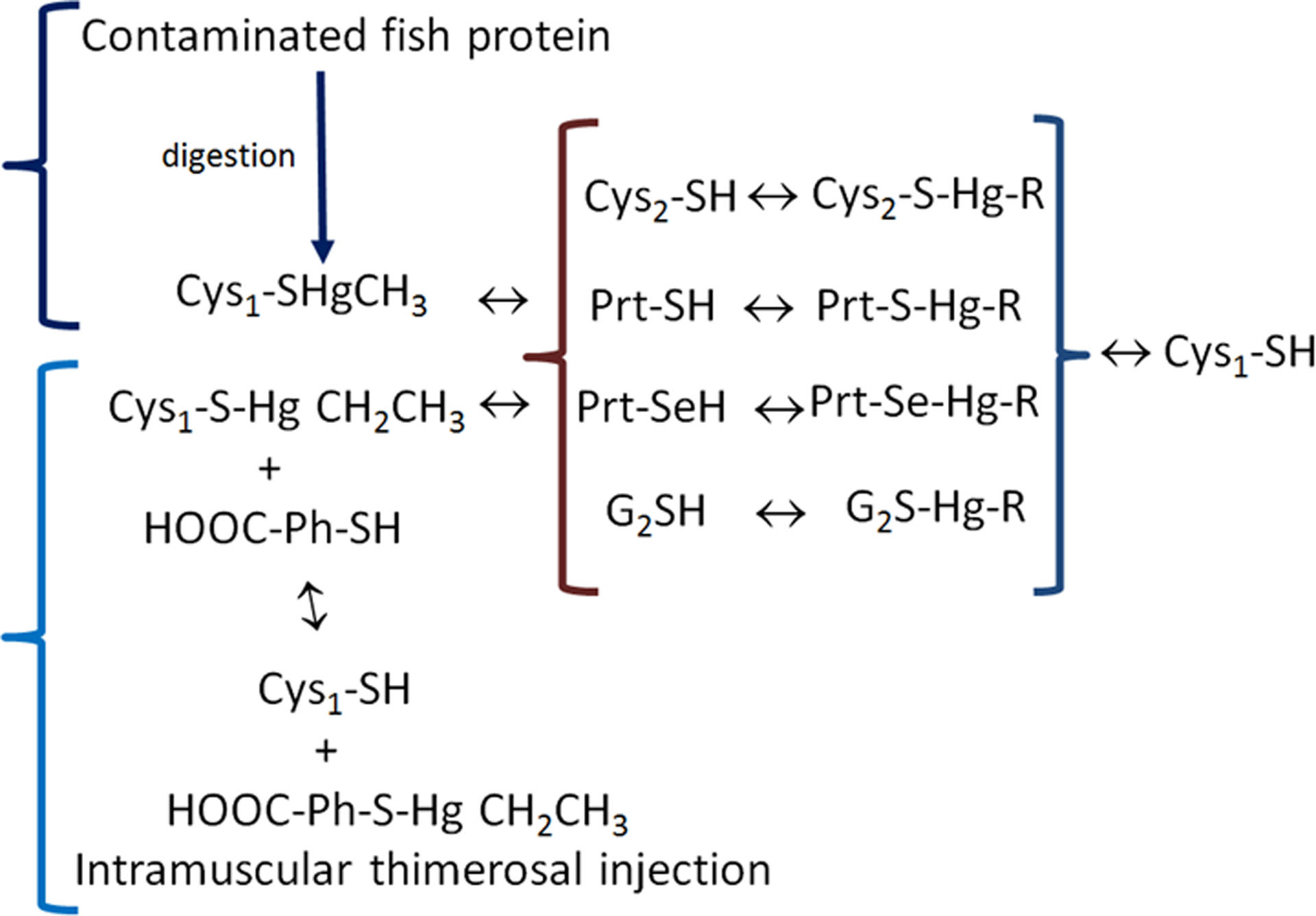 Figure 4 –