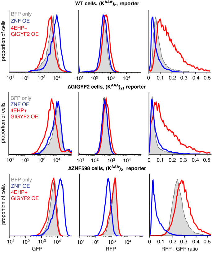 Figure 6—figure supplement 3.