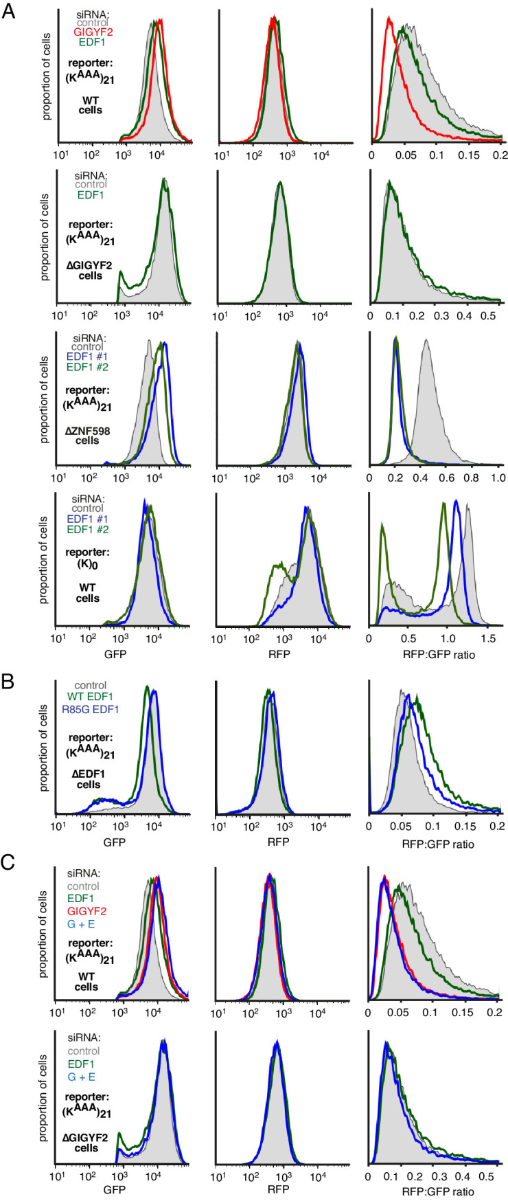 Figure 6—figure supplement 4.