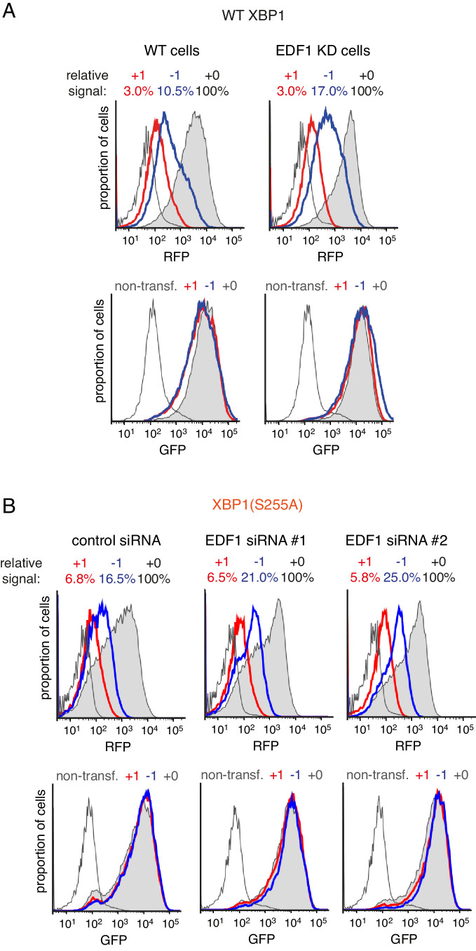 Figure 3—figure supplement 2.