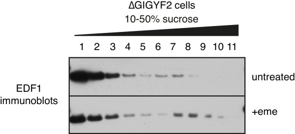 Figure 5—figure supplement 1.