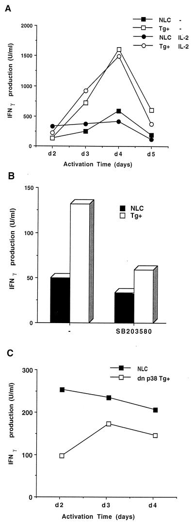 FIG. 7