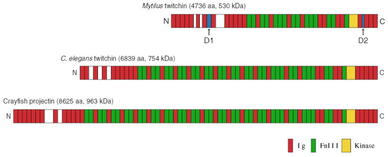 Fig. 2