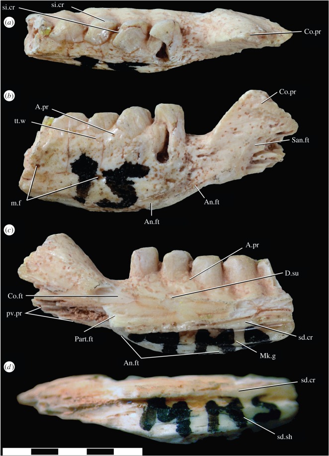 Figure 3.