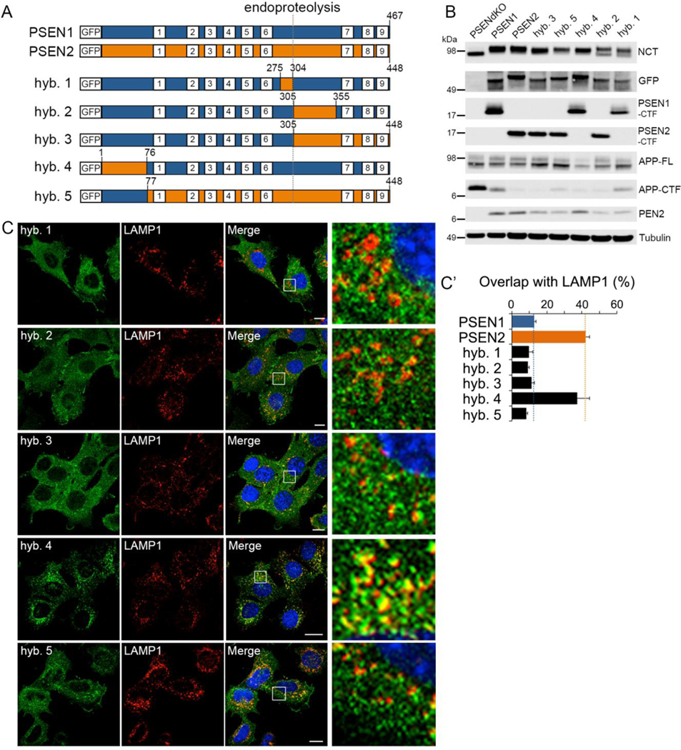 Figure 2: