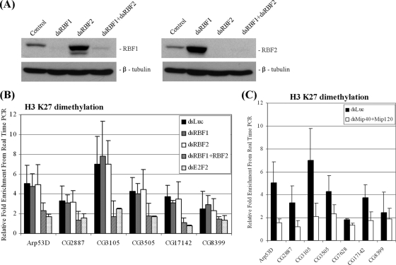 FIG. 7.