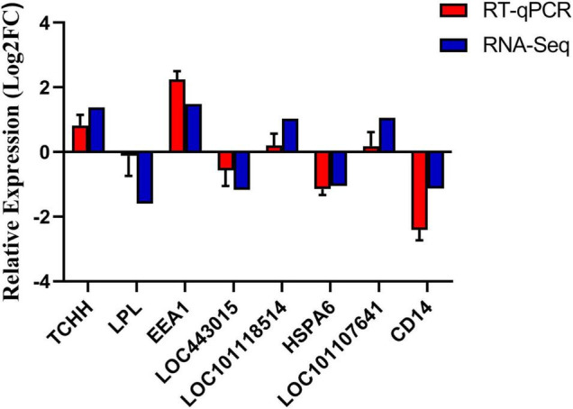 FIGURE 6